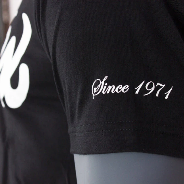Camiseta Fairtex Classic Logo TST7  - Image 7