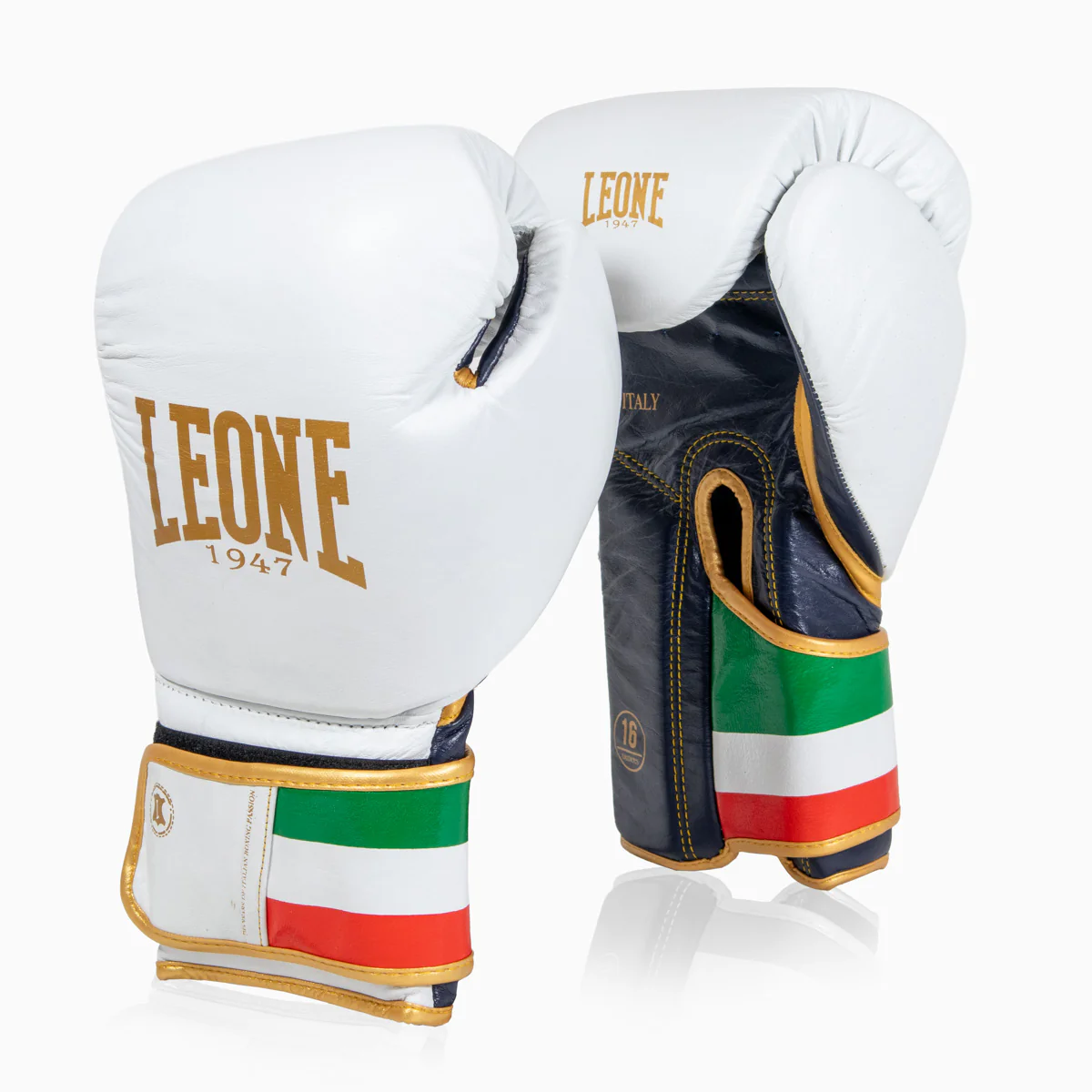 Guantes de boxeo Leone Italia GN039 