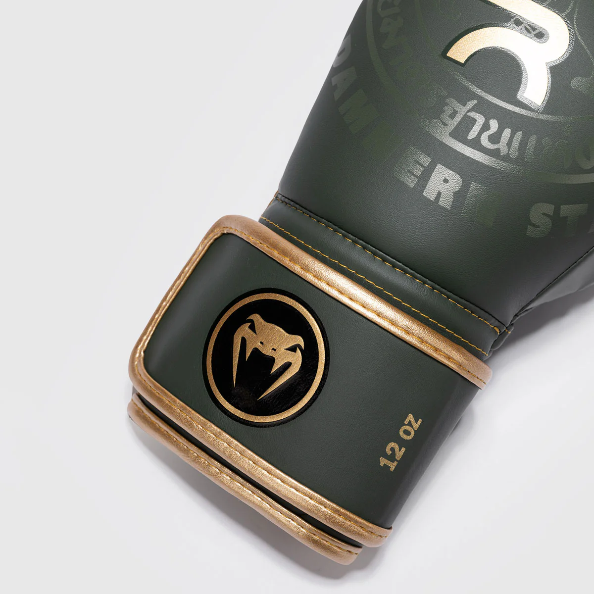 Guantes de boxeo Venum x Rajadamnern Verde  - Image 5