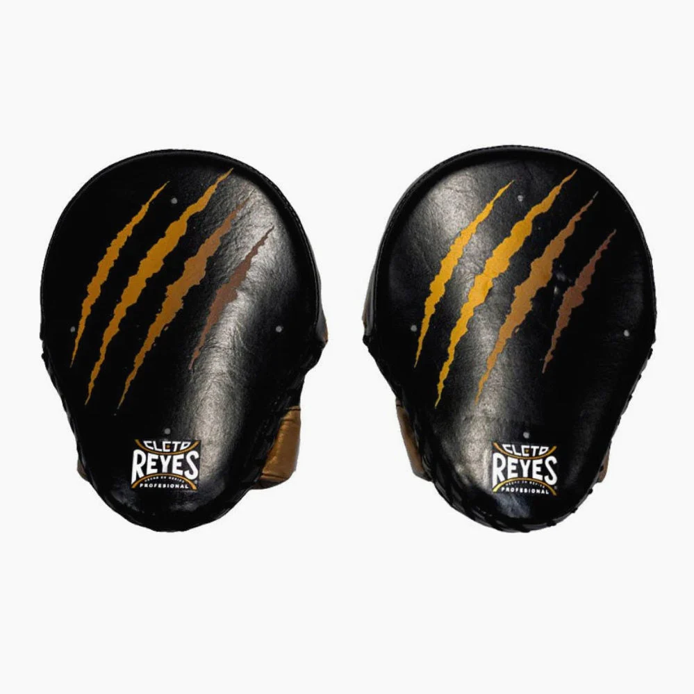 Manoplas de boxeo Cleto Reyes Tigre - Image 4