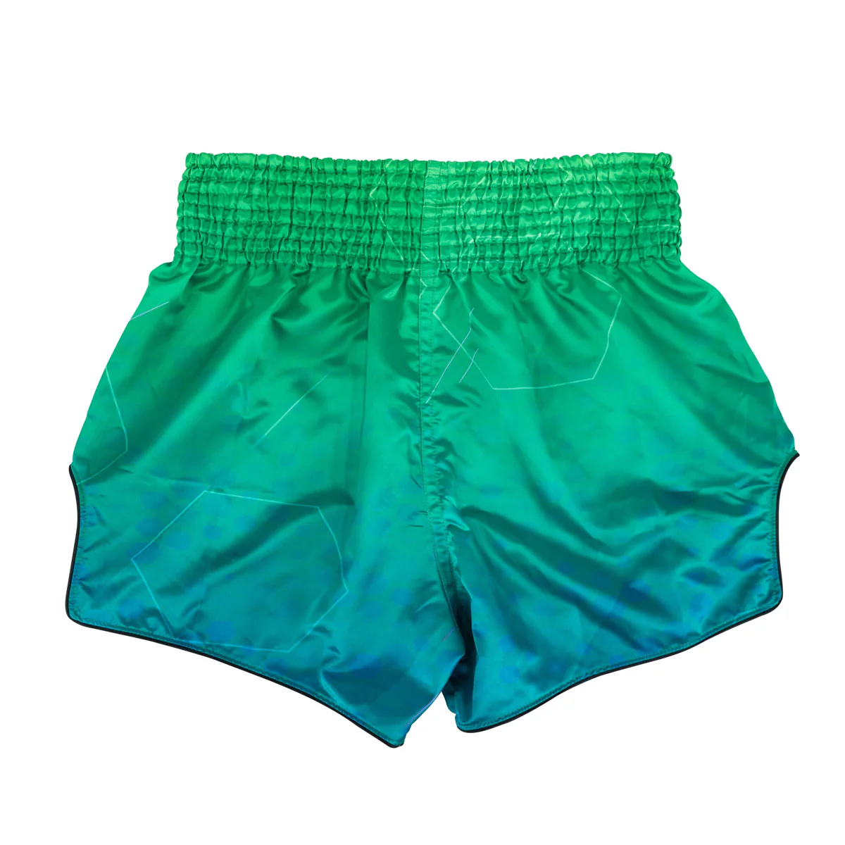 Pantalones cortos kick-tailandés Fairtex BS1953 Quantum  - Image 2