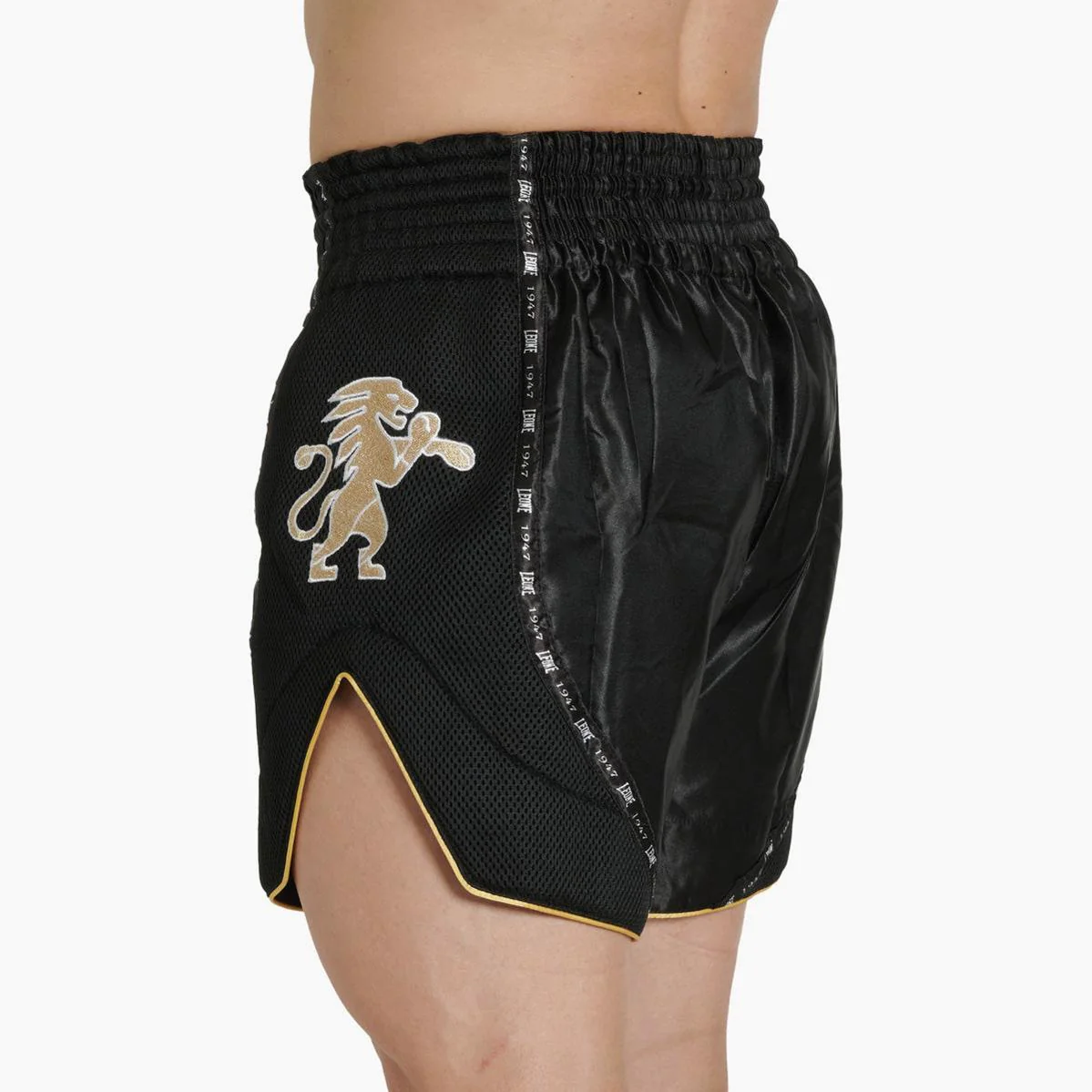 Pantalones cortos kick-tailandés Leone Classic AB881 Negro - Image 3