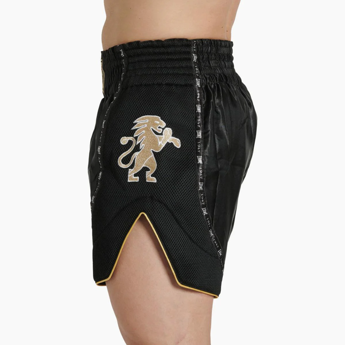 Pantalones cortos kick-tailandés Leone Classic AB881 Negro - Image 4