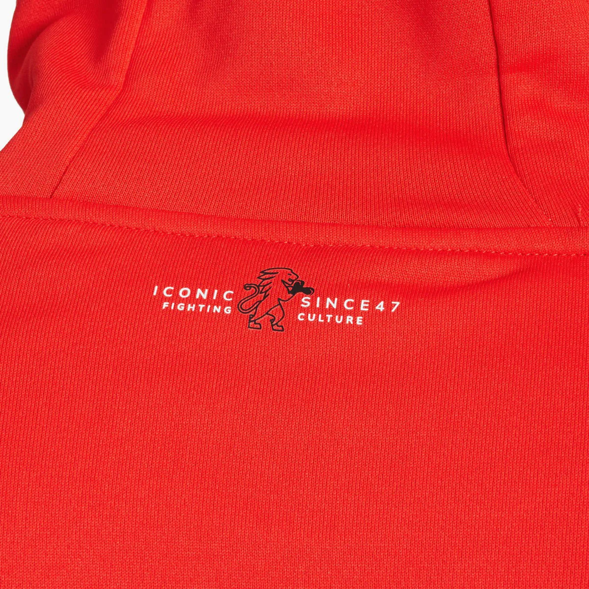 Sudadera de chándal Leone Iconic con capucha ABX436  - Image 63