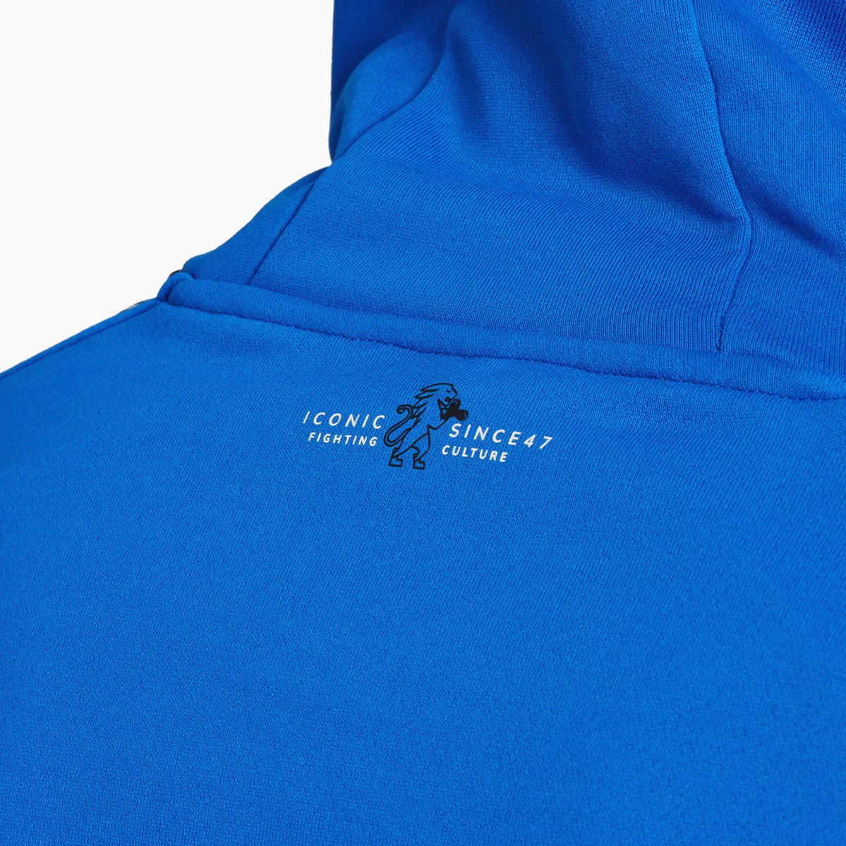 Sudadera de chándal Leone Iconic con capucha ABX436  - Image 74